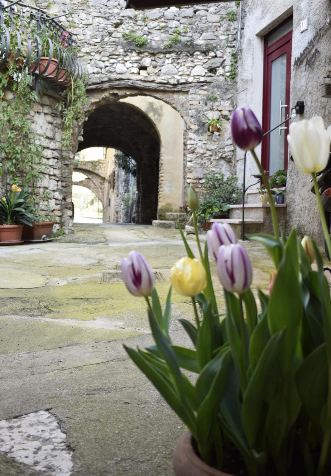 Appartamento Anna Brenzone sul Garda Exterior photo